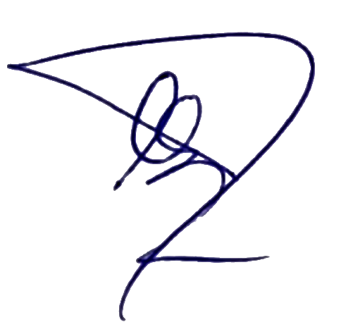 Firma Digital Dra. Karina Brizuela